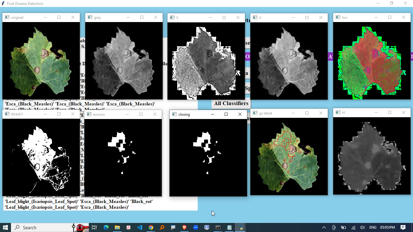 AUTOMATIC FRUIT DISEASE DETECTION BY IMAGE ON CLOUD COMPUTING