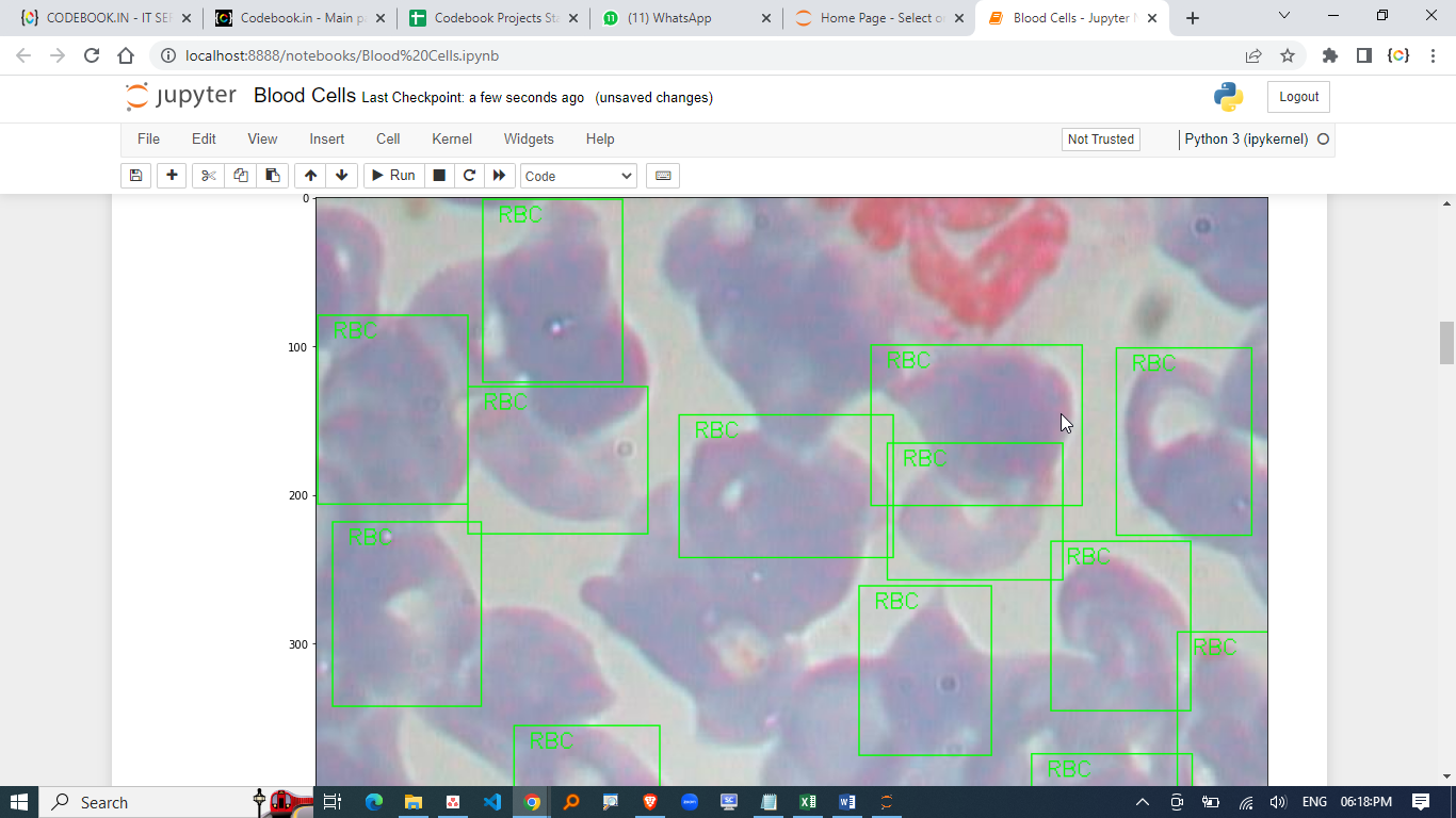 BLOOD CELL CLASSIFICATION USING CONVOLUTION NEURAL NETWORKS